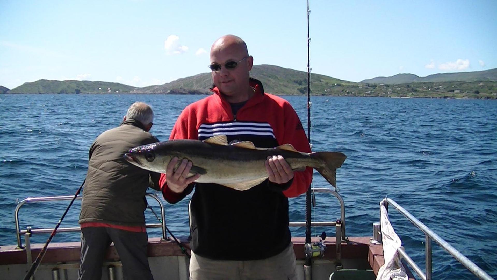 Sneem River Lodge Bed & Breakfast 외부 사진